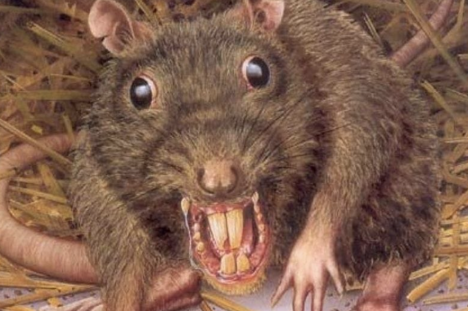 Fleeing Rats: US Closes Turkish Consulate